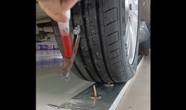 यदि कोई कील या कांटा टायर में घुस जाता है, तो वाहन बिना रखरखाव लागत के चलता रहेगा।