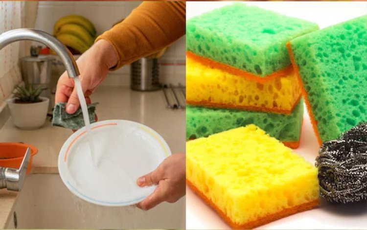 क्या बर्तन धोने वाले स्क्रब, स्पॉन्ज को महीनों करते हैं इस्तेमाल? हो जाएगी ये 2 समस्या, जानें कितने दिनों तक करें यूज, कब बदलें
