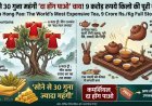 सोने से भी महंगी है यह चाय! 9 करोड़ रुपये किलो वाली 'दा होंग पाओ' की पूरी कहानी